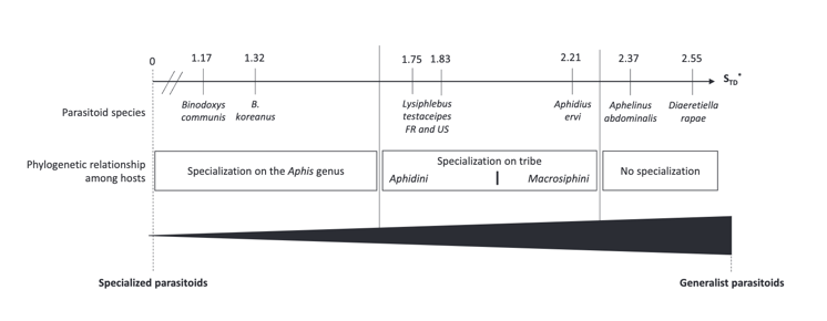Specificity index EN