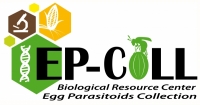 Logo CRB EPCOLL